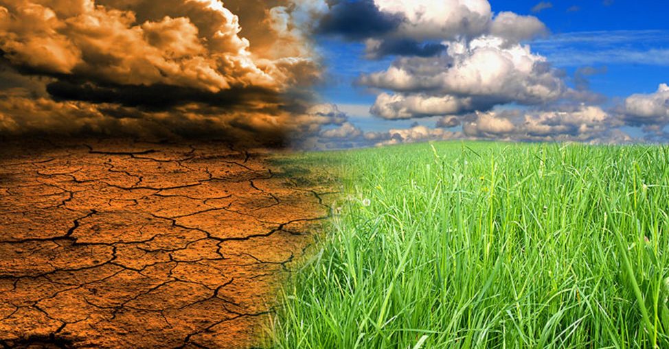 İklim Krizi, Gıda Güvenliği ve Yerel Yönetimler | Doç. Dr. Bülent Şık | Ekoloji Birliği