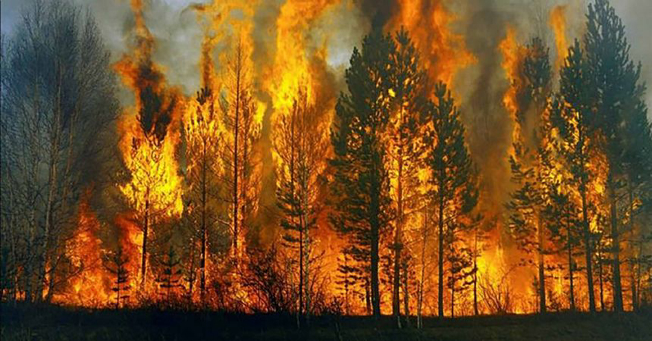 TMMOB'dan İzmir'deki orman yangınları ile ilgili şok eleştiriler