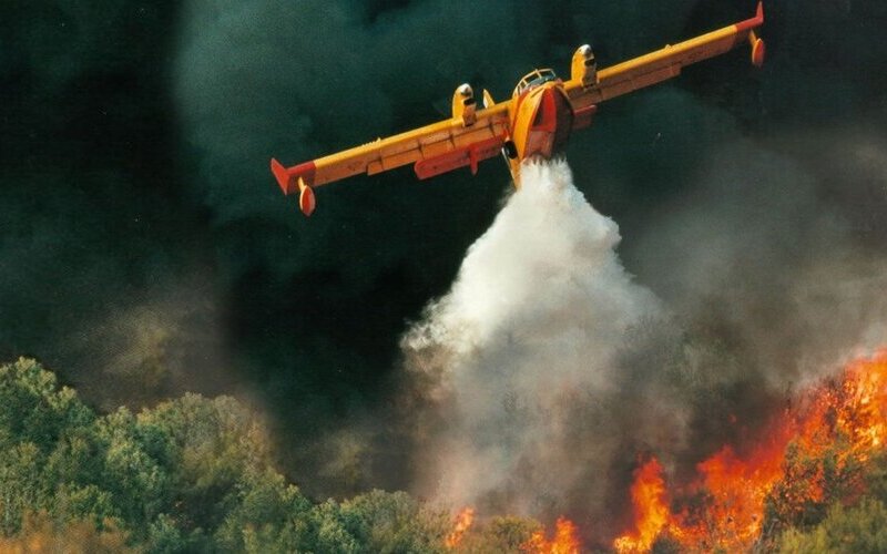 son 10 yıldaki orman kaybının yaklaşık Üçte İkisi 2021deki yangınlarda